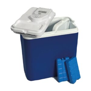 All Ride 22L Cool Box With Passive Lid & Ice Packs   12V